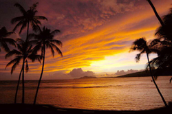 Maui Price Hotel – Hawaiian Divas Delight